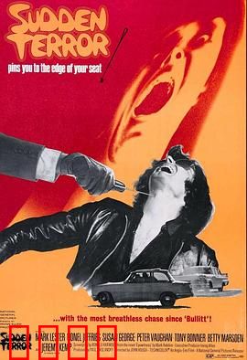 小英雄与大刺客：正义的抉择