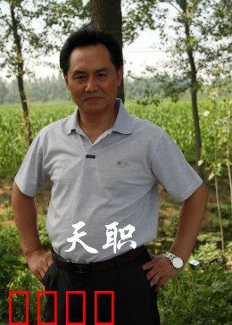 天职2012：生死抉择
