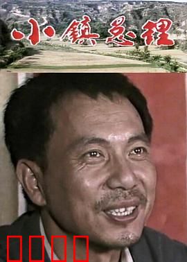 小镇总理：为民请命之路