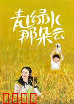 青山绿水那朵云：云上村官梦