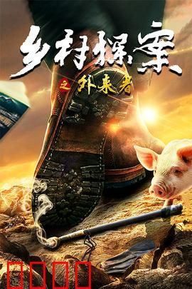 乡村探案之外来者：神秘访客破谜案