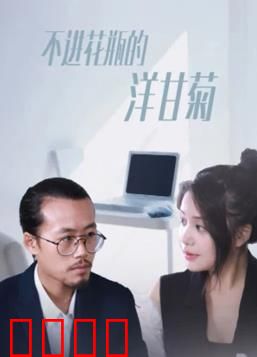 不进花瓶的洋甘菊：自由野花的倔强