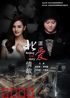 北漂爱情故事2016：梦想与挣扎