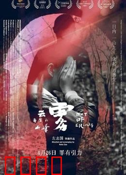 云雾笼罩的山峰：赎金迷局