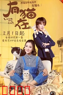 有猫在：治愈心灵