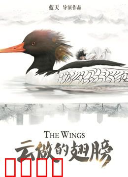 云做的翅膀：追梦云端
