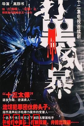 打黑风暴：正义之光