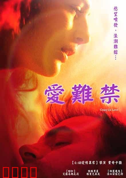 爱难禁：禁忌的深情