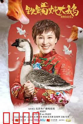 我来自北京之铁锅炖大鹅：农村创业逆袭