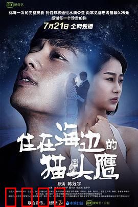 住在海边的猫头鹰：孤独的守望者