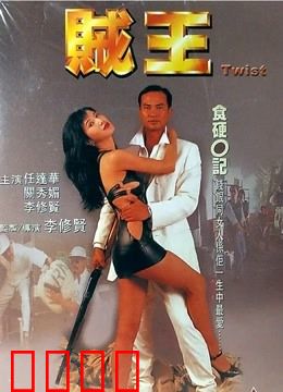 贼王 1995：贼王末路