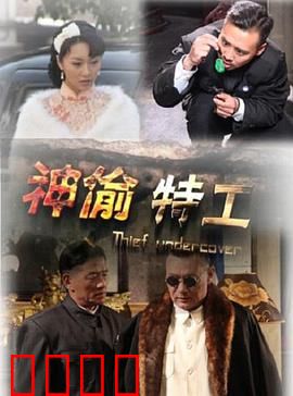 神偷特工：惊天窃案