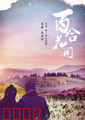 《百合花开》：逆境绽放的纯爱