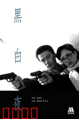 黑白夜：真相的双面