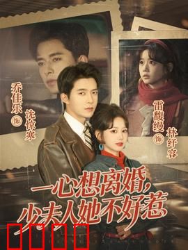 一心想离婚，少夫人她不好惹：霸总追妻记