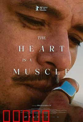 心如肌理：一针一线织就真情