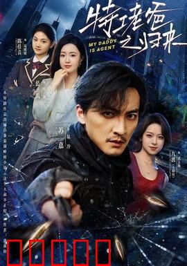 特工老爸之归来:铁血柔情